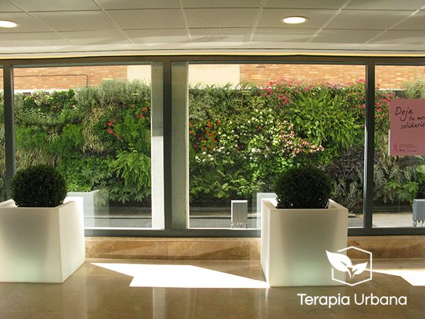 jardin vertical en hospital sagrado corazon sevilla