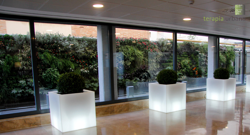 Jardines verticales en Clinic Sevilla Jardines verticales en Clinic Sevilla