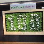 Lienzo naturado slimgreenwall grande madera en stand Scotscape en 100 Chelsea Flower Show