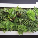 Lienzo naturado slimgreenwall pequeño blanco en stand Scotscape en Chelsea Flower Show 2