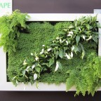 Lienzo naturado slimgreenwall mediano blanco en stand Scotscape en Chelsea Flower Show 3