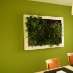 lienzo naturado slimgreenwall living artwork GCS (11)