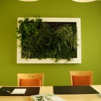 lienzo naturado slimgreenwall living artwork GCS (12)