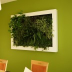 lienzo naturado slimgreenwall living artwork GCS (14)