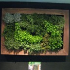 stand terapia urbana ecobuild jardin vertical (3)