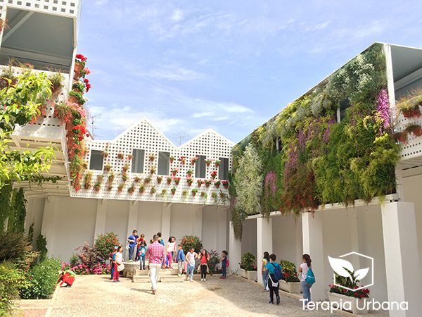 Beneficio naturación urbana aporta alegría y felicidad Beneficio naturación urbana aporta alegría y felicidad
