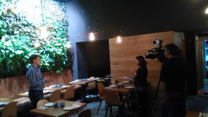 Grabacion jardines verticales Terapia Urbana bar mamarracha, Canal Sur TV