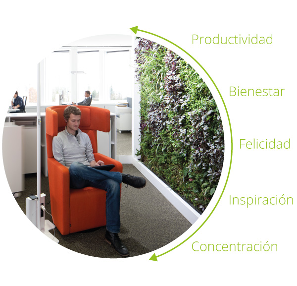 Beneficios de los jardines verticales para las personas Beneficios de los jardines verticales para las personas