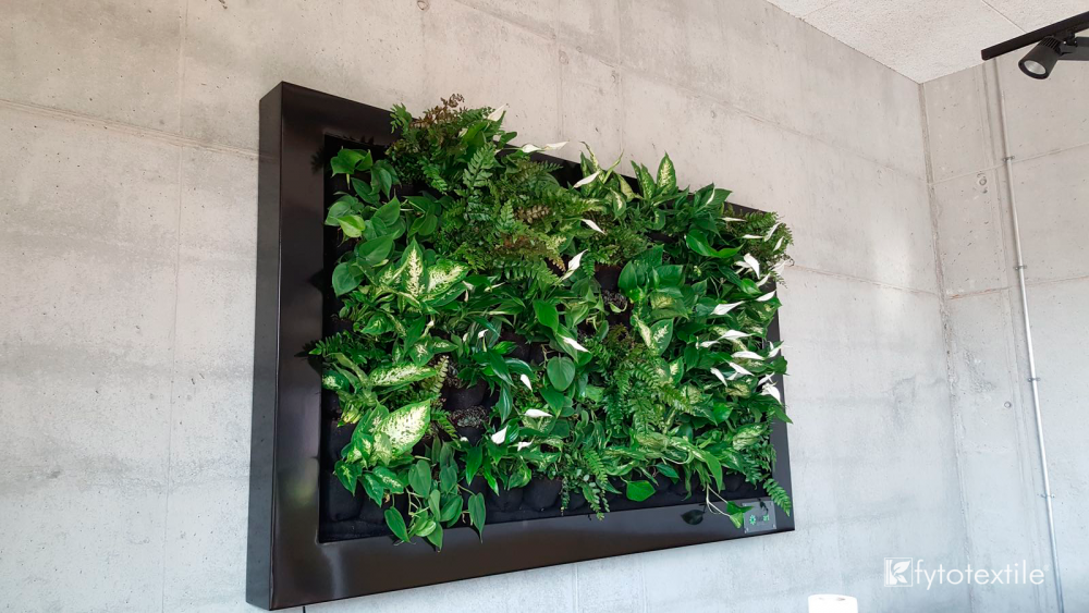 Hadart nuevo partner en Polonia en jardines Jardín vertical Hadart