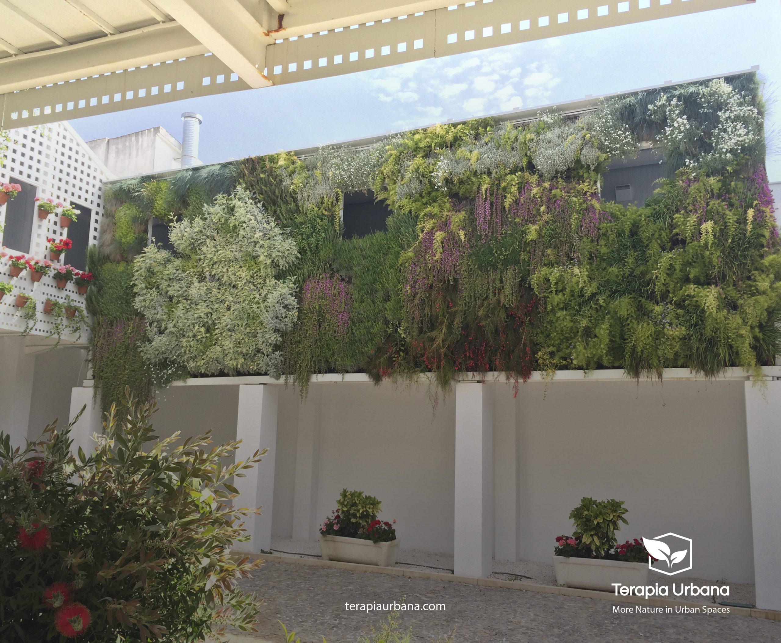 Selección de Plantas en los Jardines Verticales de tu Proyecto Selección de Plantas en los Jardines Verticales de tu Proyecto