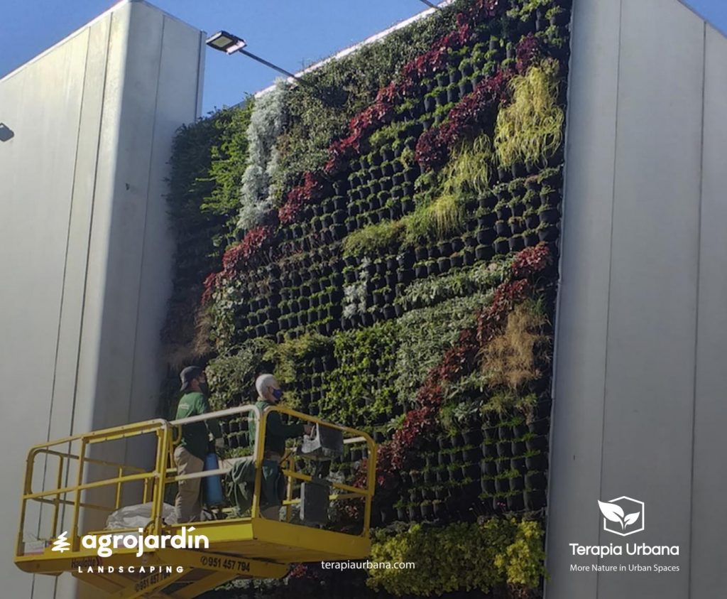 Los jardines verticales como medio para combatir el cambio climático