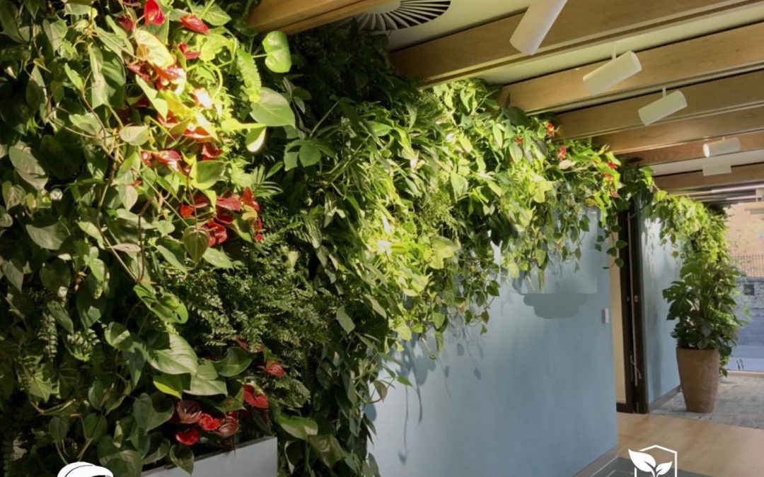 NUEVO CURSO: «Jardines Verticales y cubiertas verdes» en IFAPA del 30-sept al 04-oct