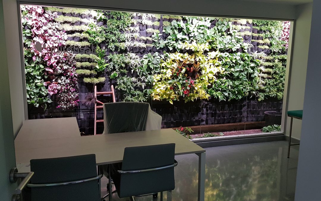 Biophilic design. Benefits in the hospital environment