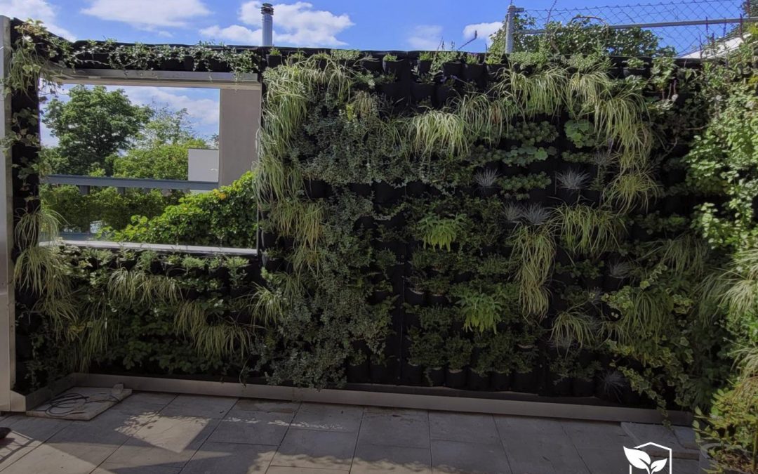 The Role of Vertical Gardens in Spain