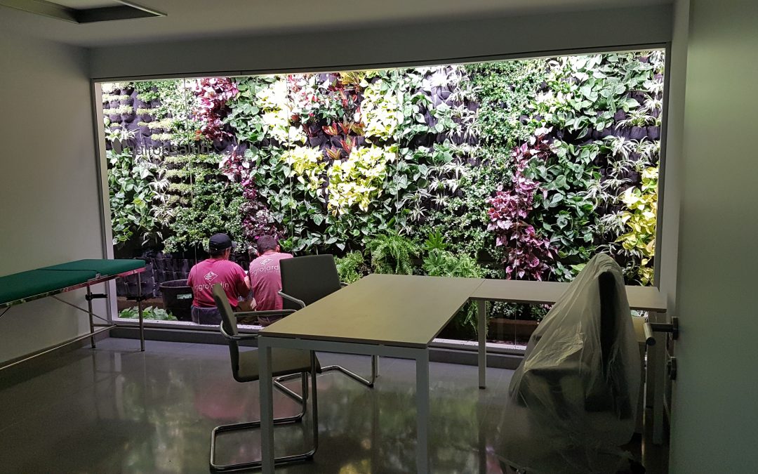 Vertical gardens in the hotel sector