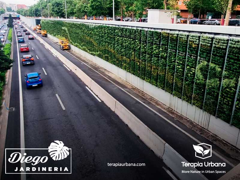 Un vistazo al diseño y la tecnología de proyectos de grandes muros verdes utilizando el caso de estudio de los muros verdes M30