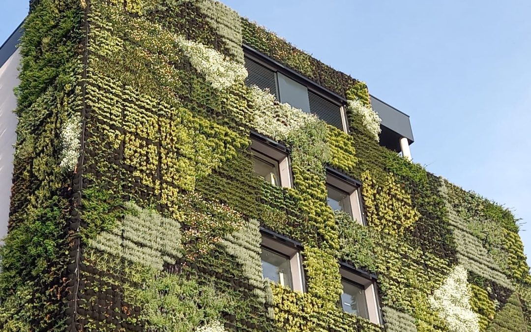 What will the vertical gardens of the future look like?