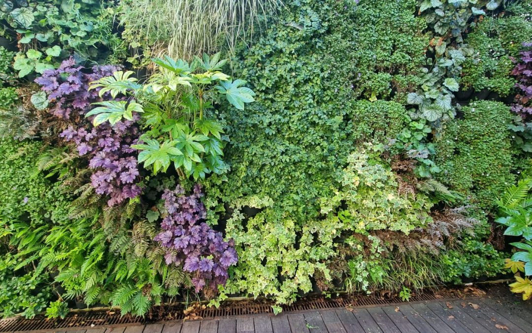 Vertical Gardens: oxygenating the environment