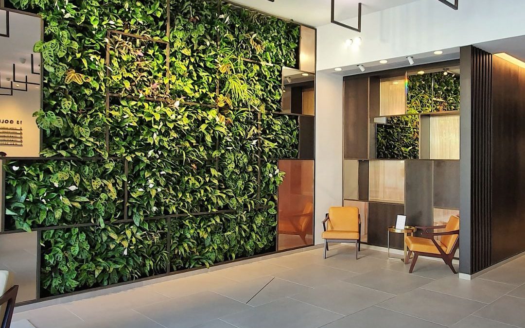 The Positive Impacts of Plants in the Workplace