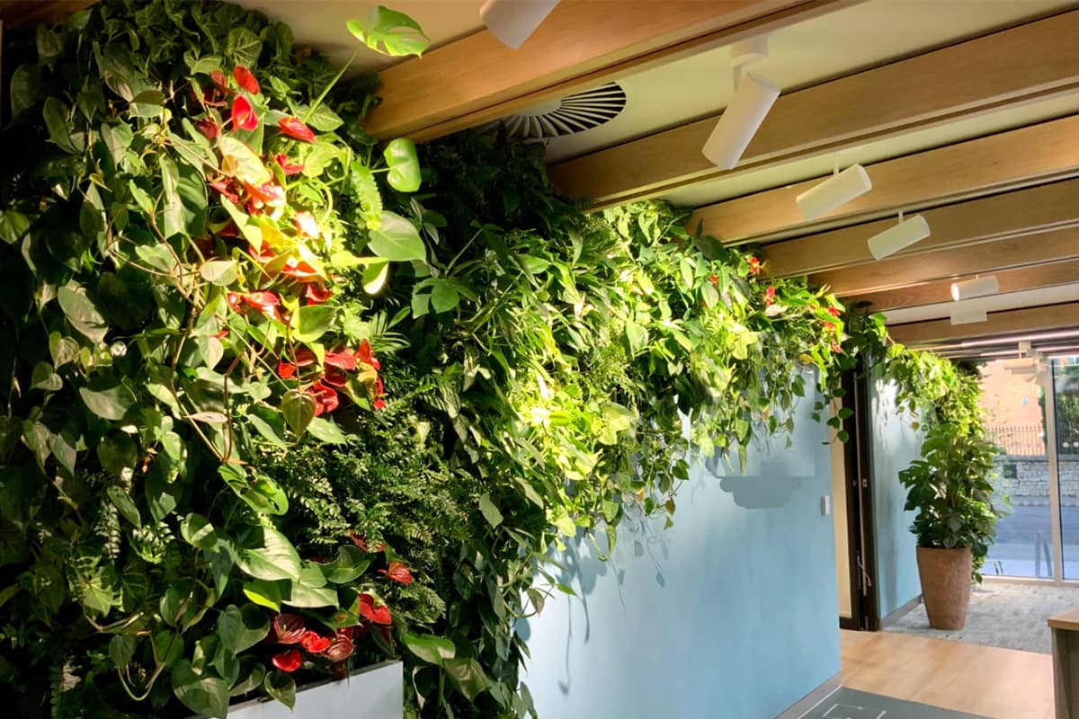 amazon jardin vertical