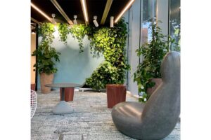 jardin vertical amazon