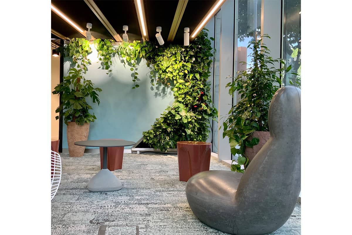 jardin vertical amazon