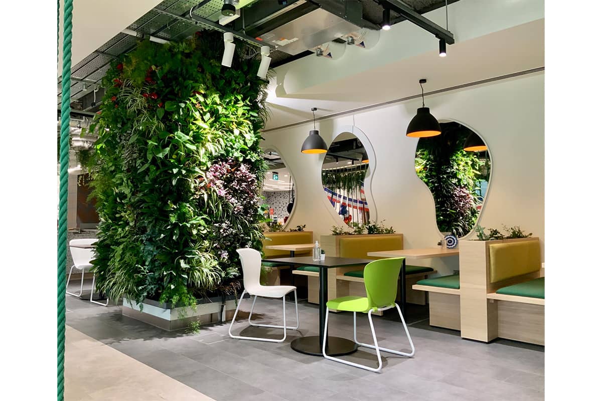 columna vegetal amazon