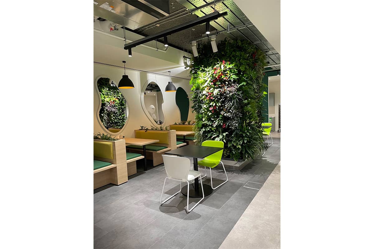 amazon columna vegetal