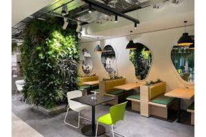 muro vegetal amazon
