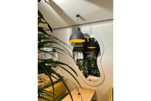 amazon muro vegetal