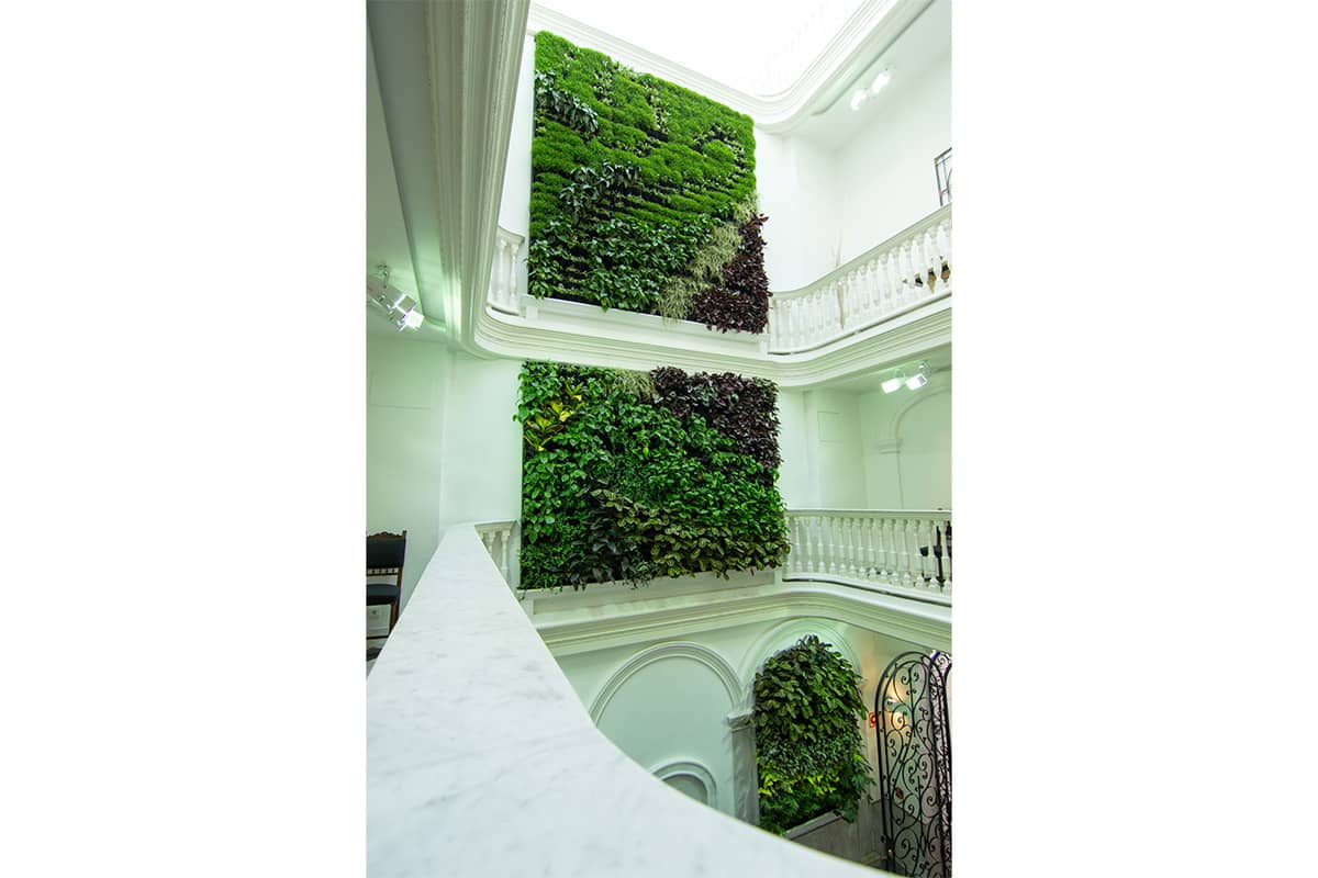 jardin vertical armador