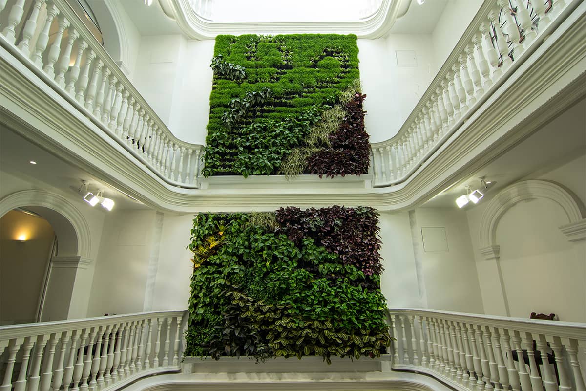 armador muro vegetal