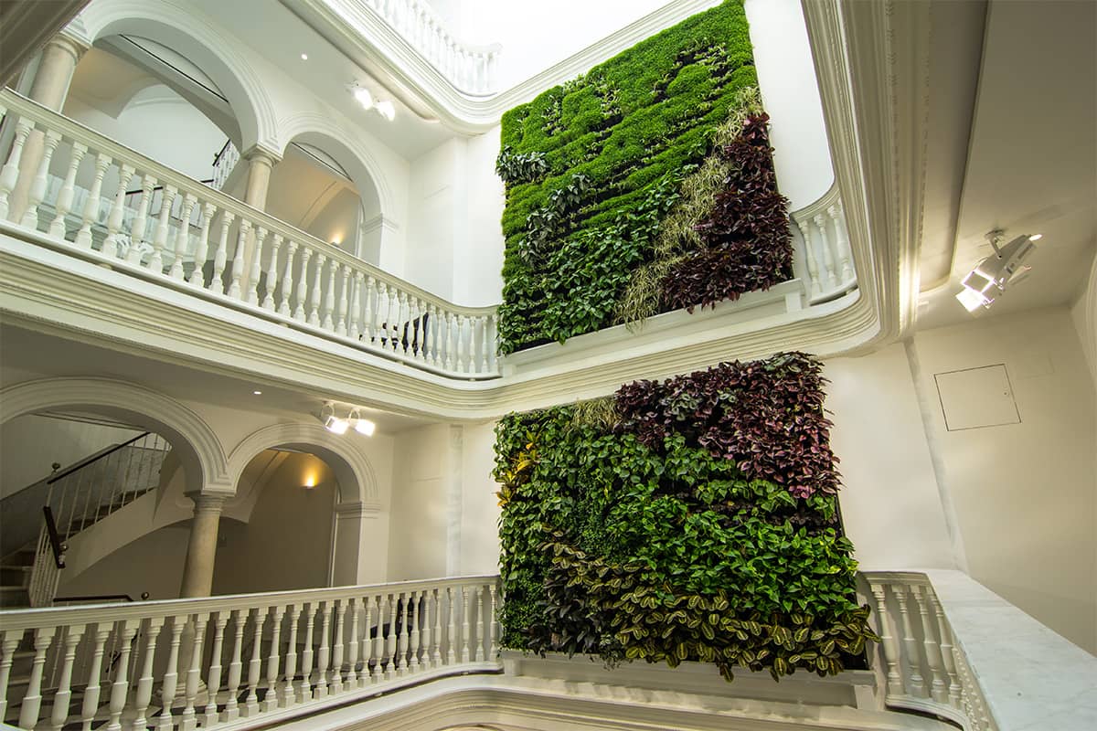 muro vegetal armador