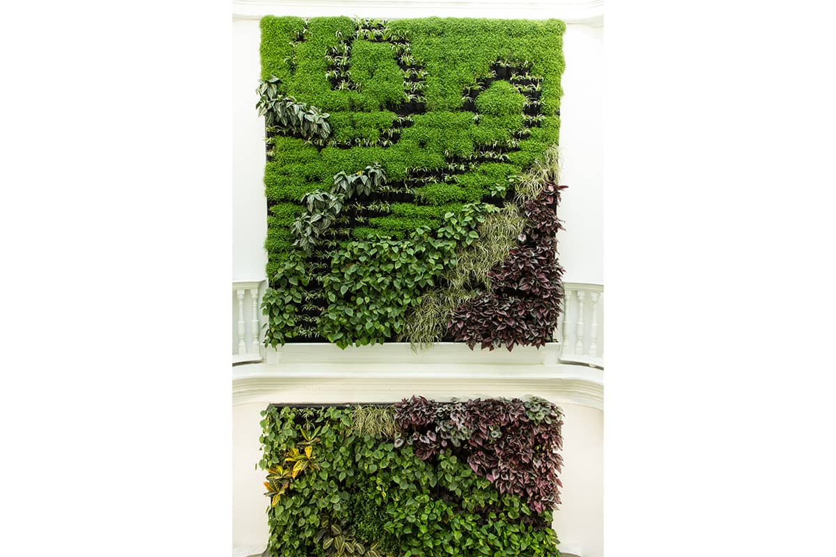 iluminacion jardin vertical armador