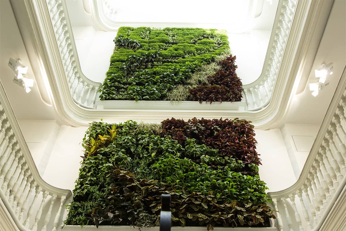 armador iluminacion jardin vertical