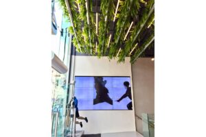 asics planters