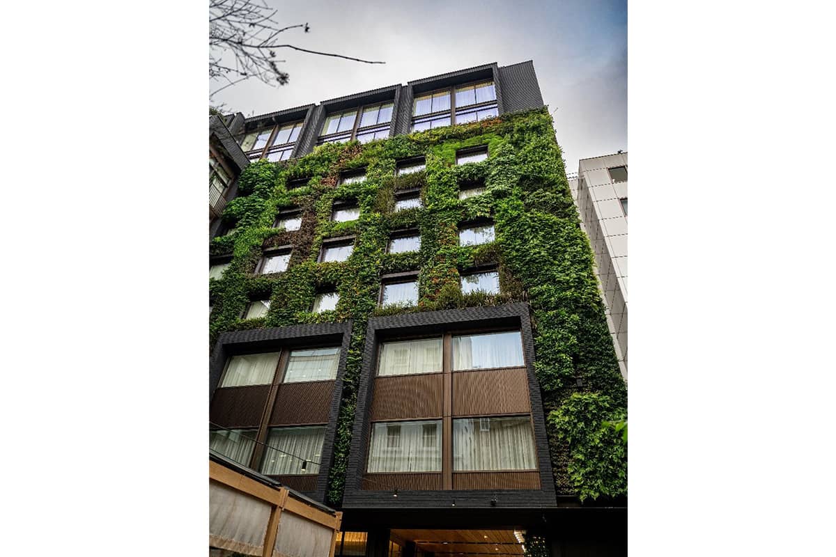 berkely street muro vegetal