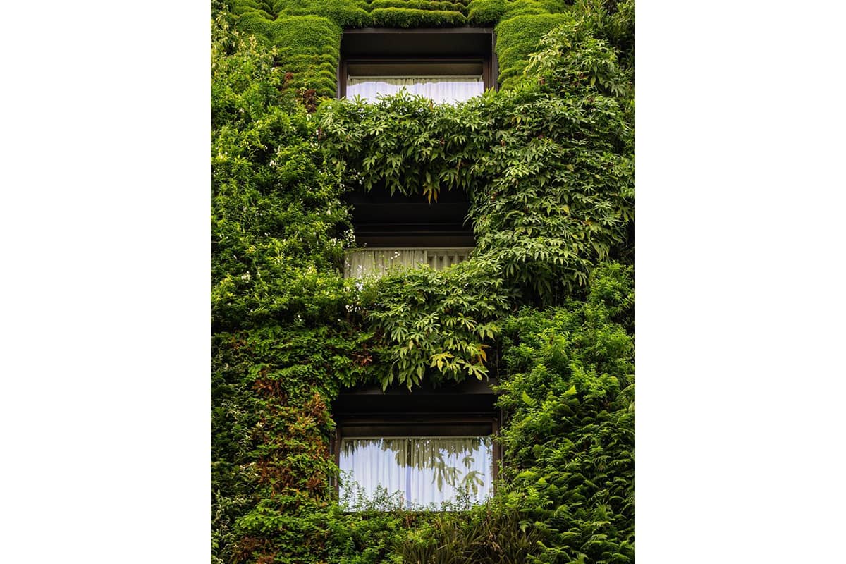 fachada vegetal berkely street