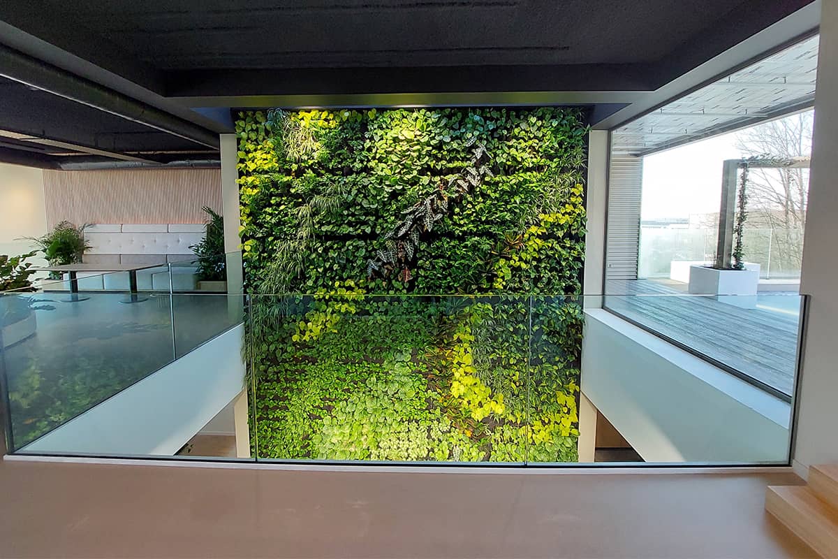 bestanden muro vegetal