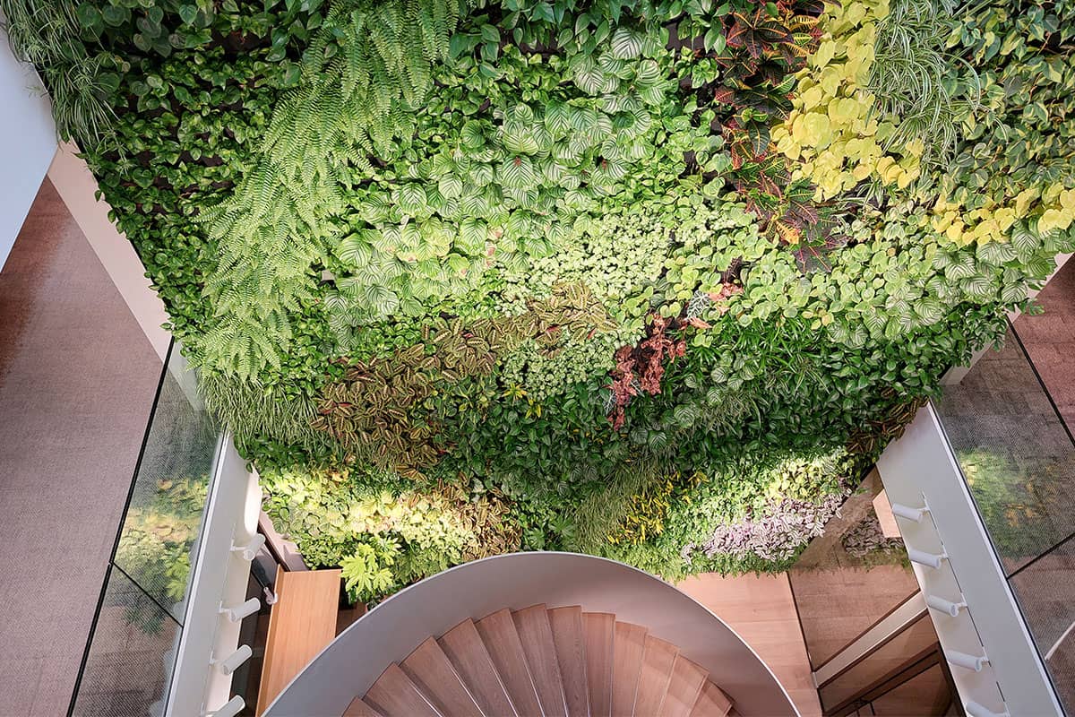 muro vegetal bestanden