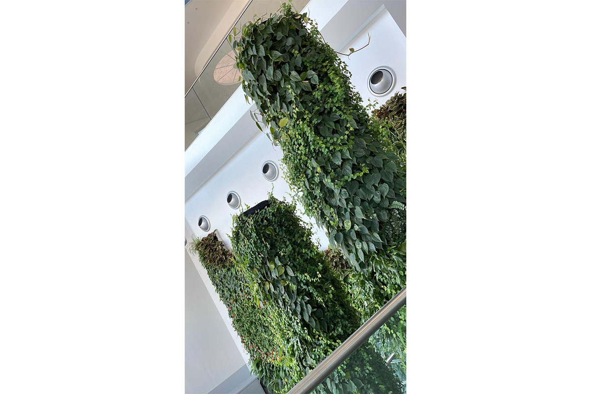 jardin vertical cerro maggiore