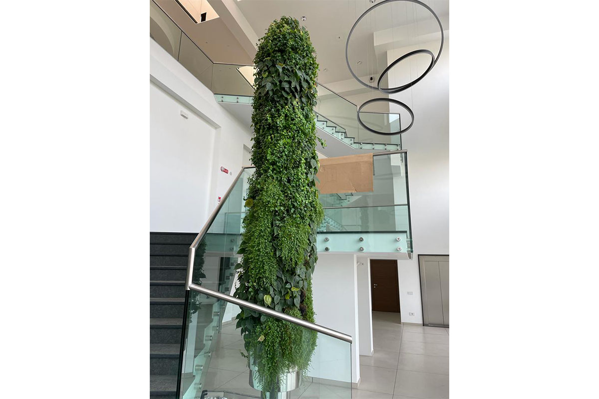 cerro maggiore columna vegetal