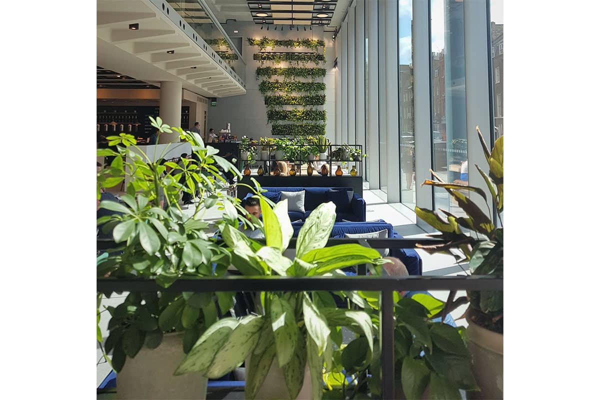 muro vegetal grays inn