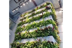 grays inn vegetal iluminacion
