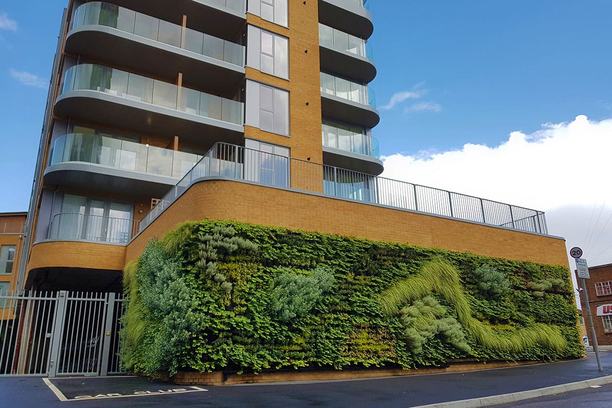 Hampden road jardin vertical