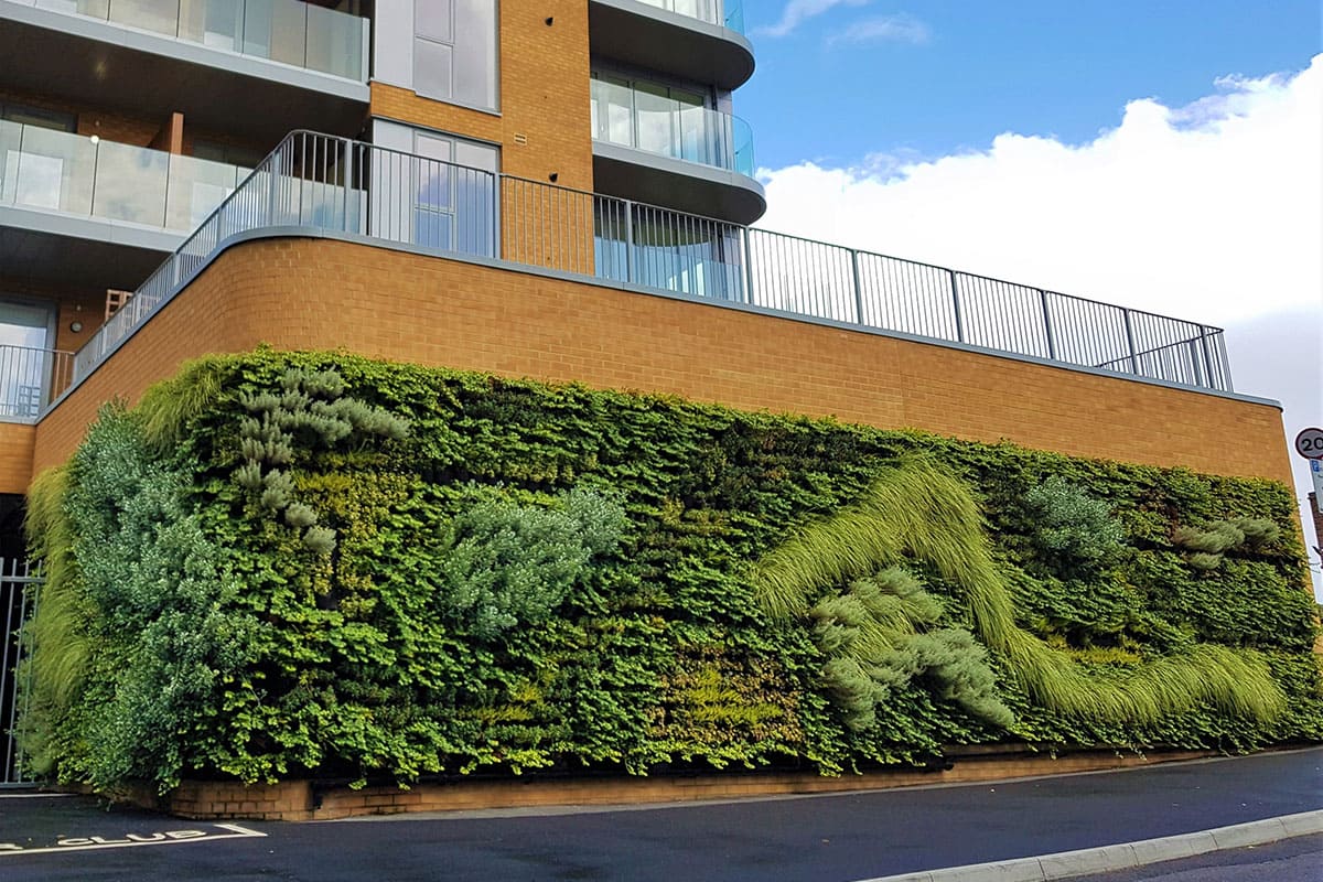 jardin vertical hampden road