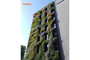 Jardin vertical Hotel cracow