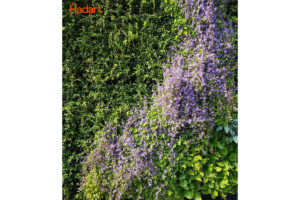 hotel polonia jardin vertical