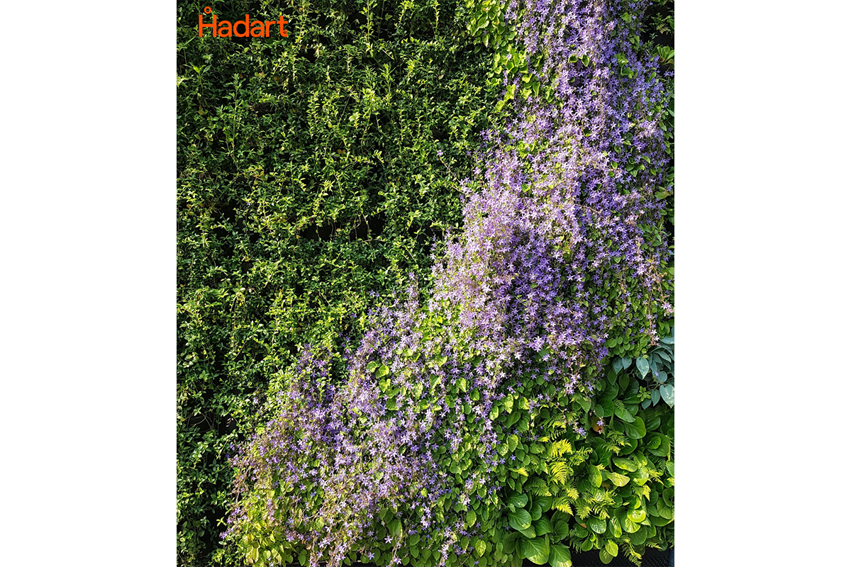 hotel polonia jardin vertical