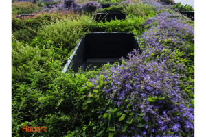 hotel muro vegetal cracow